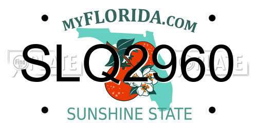 SLQ2960 Florida License Plate