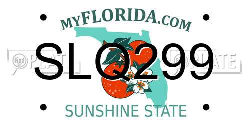 SLQ299 Florida License Plate