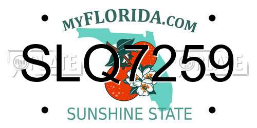 SLQ7259 Florida License Plate