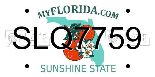 SLQ7759 Florida License Plate