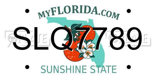 SLQ7789 Florida License Plate