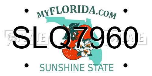 SLQ7960 Florida License Plate