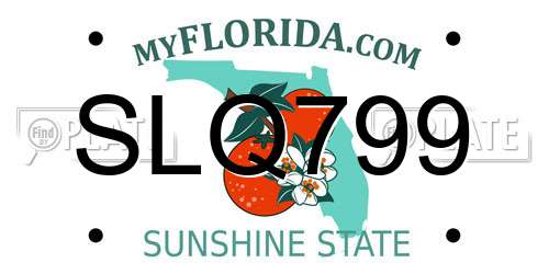 SLQ799 Florida License Plate