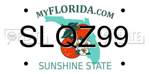 SLQZ99 Florida License Plate