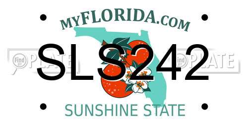 SLS242 Florida License Plate
