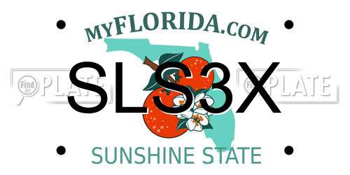 SLS3X Florida License Plate