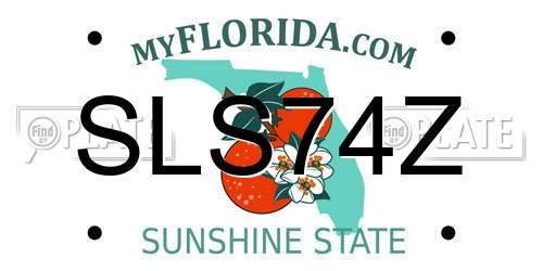 SLS74Z Florida License Plate