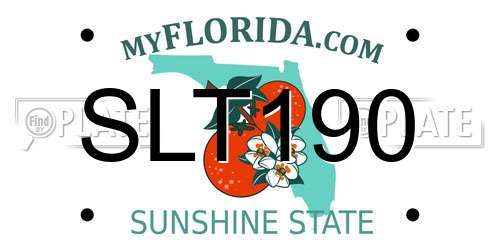 SLT190 Florida License Plate