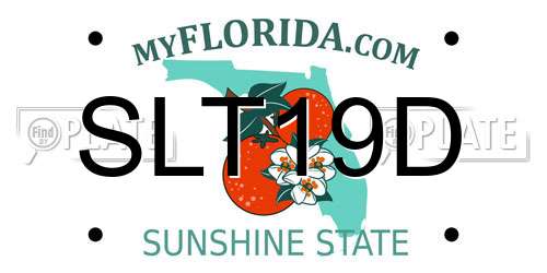 SLT19D Florida License Plate