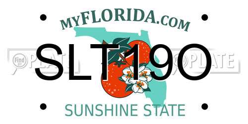 SLT19O Florida License Plate