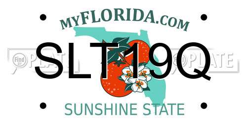 SLT19Q Florida License Plate