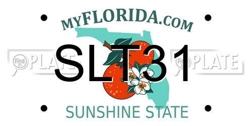 SLT31 Florida License Plate