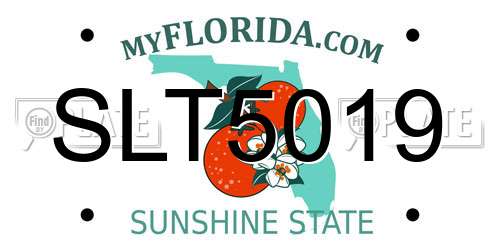 SLT5019 Florida License Plate