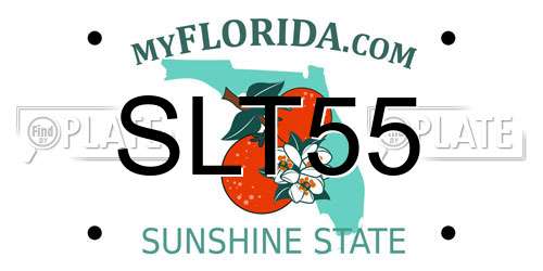 SLT55 Florida License Plate