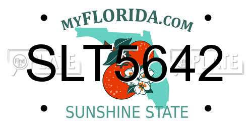 SLT5642 Florida License Plate