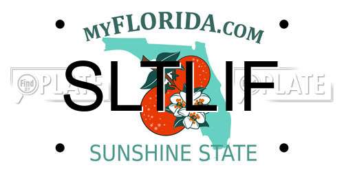 SLTLIF Florida License Plate