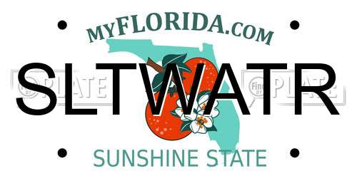 SLTWATR Florida License Plate