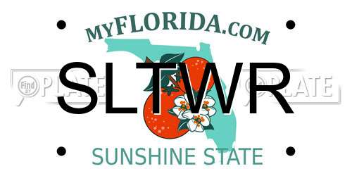 SLTWR Florida License Plate