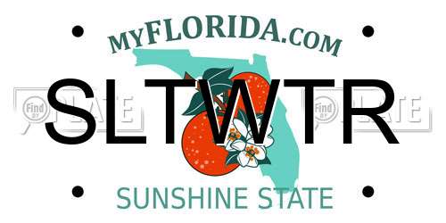 SLTWTR Florida License Plate