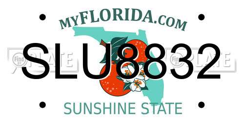 SLU8832 Florida License Plate