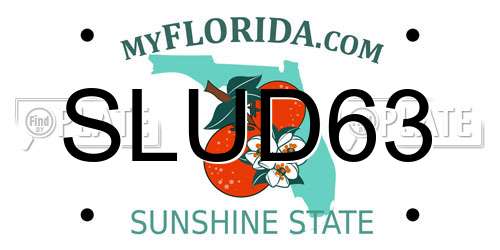 SLUD63 Florida License Plate