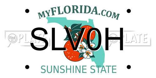 SLV0H Florida License Plate