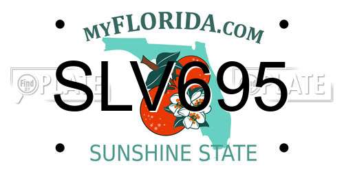 SLV695 Florida License Plate