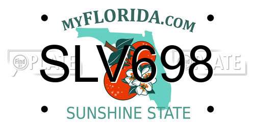 SLV698 Florida License Plate