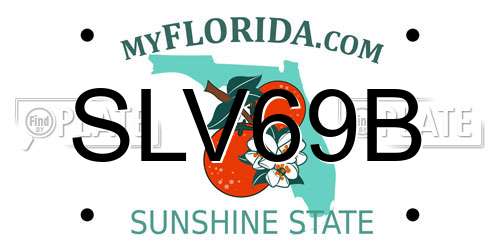 SLV69B Florida License Plate