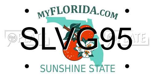 SLVG95 Florida License Plate