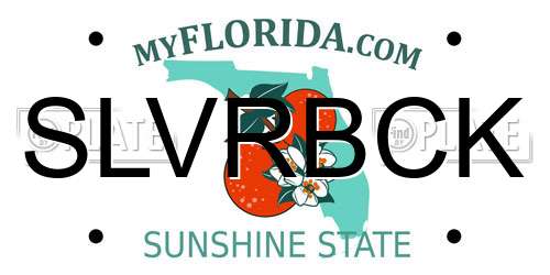 SLVRBCK Florida License Plate
