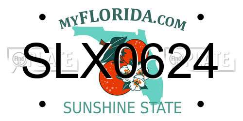 SLX0624 Florida License Plate