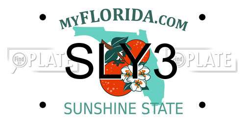 SLY3 Florida License Plate