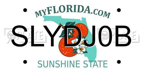 SLYDJ0B Florida License Plate