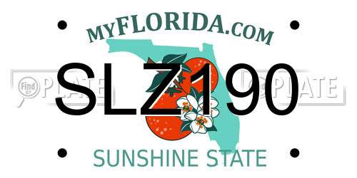 SLZ190 Florida License Plate