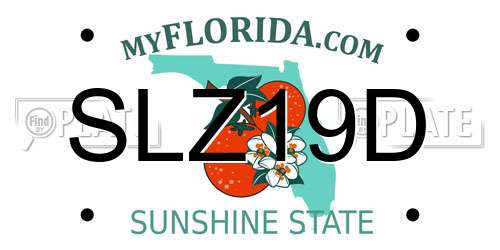 SLZ19D Florida License Plate