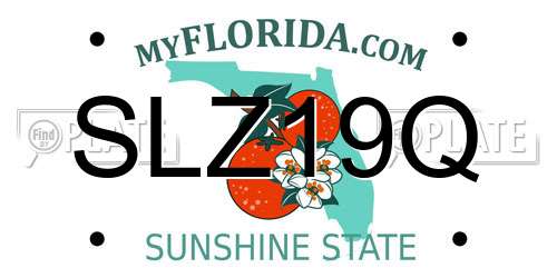SLZ19Q Florida License Plate