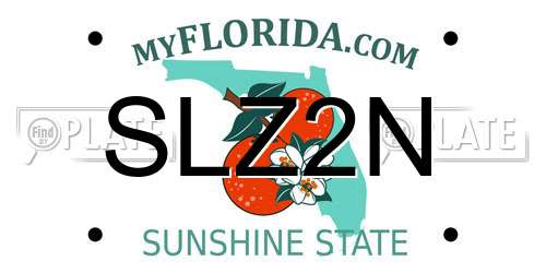 SLZ2N Florida License Plate