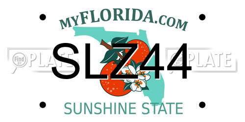 SLZ44 Florida License Plate