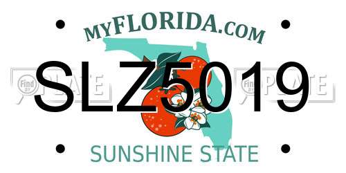 SLZ5019 Florida License Plate