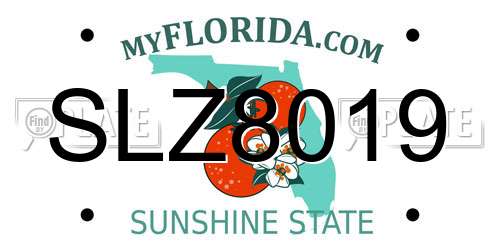 SLZ8019 Florida License Plate