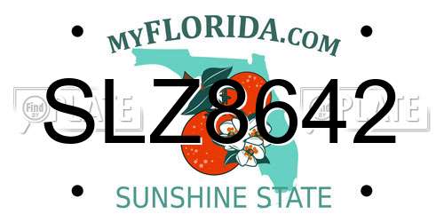 SLZ8642 Florida License Plate