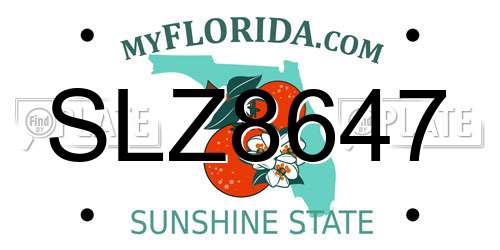 SLZ8647 Florida License Plate