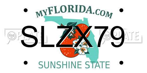 SLZX79 Florida License Plate