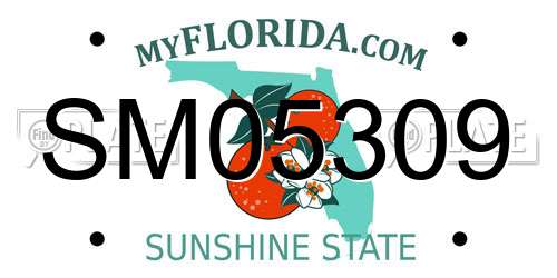 SM05309 Florida License Plate