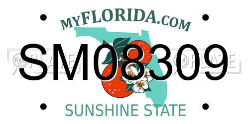 SM08309 Florida License Plate