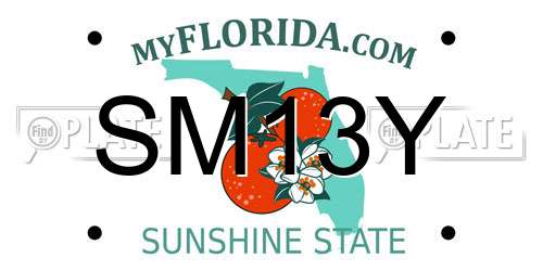 SM13Y Florida License Plate