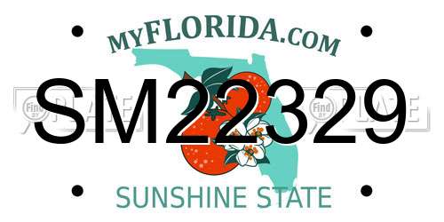 SM22329 Florida License Plate