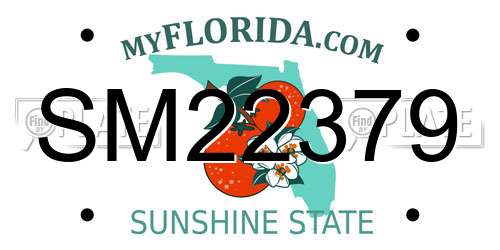 SM22379 Florida License Plate