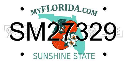 SM27329 Florida License Plate